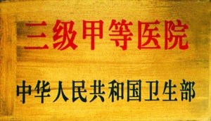 三级甲等医院