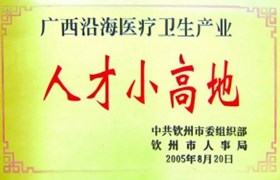 人才小高地