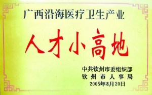 人才小高地