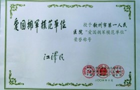 爱国拥军模范单位