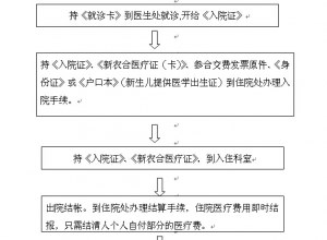【新农合住院及报销流程】