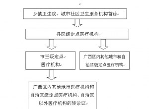 【新农合转诊转院流程图】
