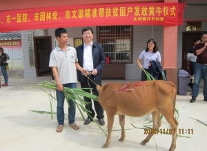 我院向贫困户赠“扶贫牛”