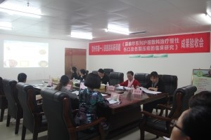 护理部马惠科研通过验收