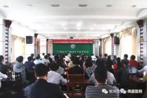 党建涌现一批先进集体和个人