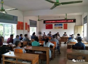 钦州创新推行党建和廉洁工作站模式获得自治区党委领导批示肯定