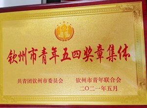 我院一批先进集体和个人获共青团表彰