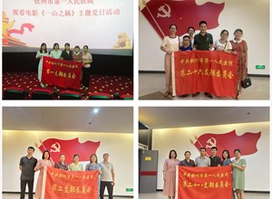 钦州市第一人民医院组织党员开展《一山之隔》主题观影活动